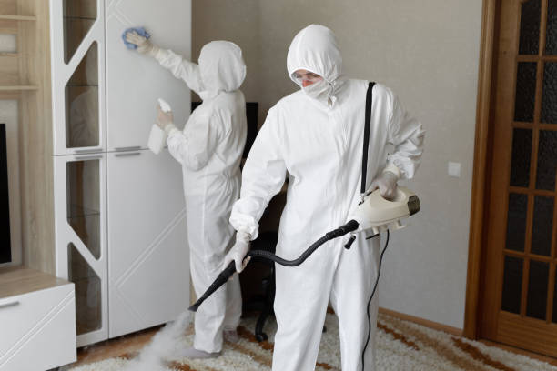 Best Attic Mold Removal  in Monsey, NY